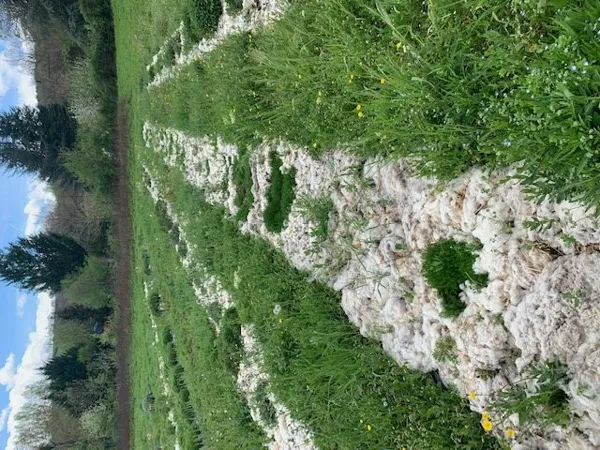 Kalys Artisan Agricole, Kalys Artisan Agricole