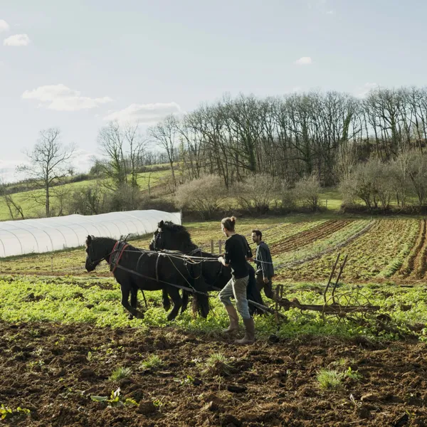 Ferme Les Clefs du Sol, Ferme Les Clefs du Sol