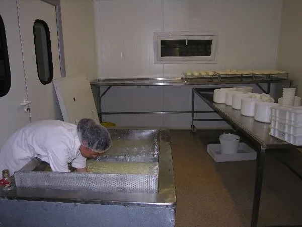 GAEC des Traversiers,fromages fermiers de brebis (La Couvertoirade), OFFICE DE TOURISME LARZAC TEMPLIER CAUSSES ET VALLEES