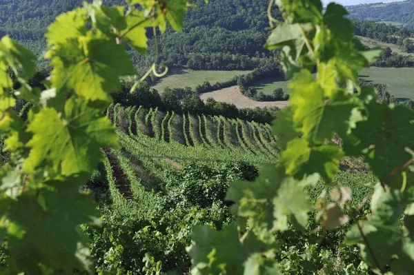 Domaine Matha, Domaine Matha