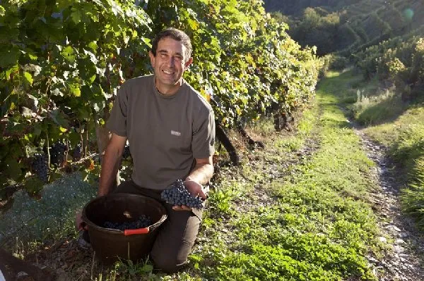 Domaine Mousset (Vins d'Entraygues - Le Fel), OFFICE DE TOURISME DU CANTON D'ENTRAYGUES SUR TRUYERE