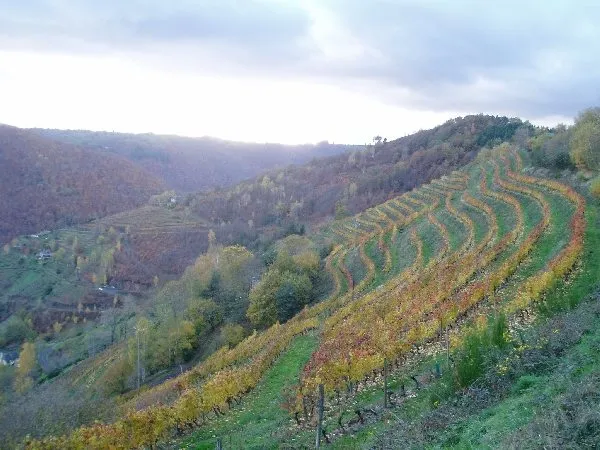Domaine Mousset (Vins d'Entraygues - Le Fel), OFFICE DE TOURISME DU CANTON D'ENTRAYGUES SUR TRUYERE