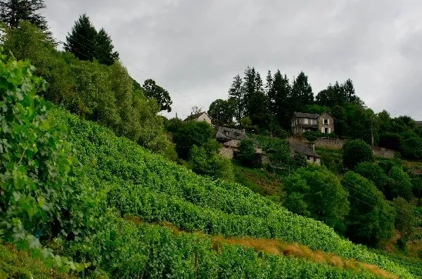 Domaine Mousset (Vins d'Entraygues - Le Fel), OFFICE DE TOURISME DU CANTON D'ENTRAYGUES SUR TRUYERE