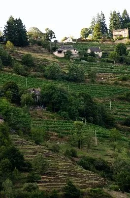 Domaine Mousset (Vins d'Entraygues - Le Fel), OFFICE DE TOURISME DU CANTON D'ENTRAYGUES SUR TRUYERE
