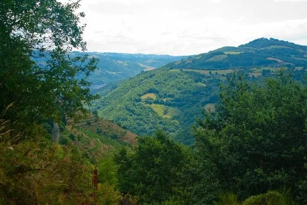 Domaine Mousset (Vins d'Entraygues - Le Fel), OFFICE DE TOURISME DU CANTON D'ENTRAYGUES SUR TRUYERE