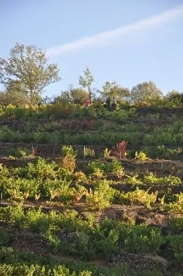 Domaine Durand, OFFICE DE TOURISME de CONQUES-MARCILLAC