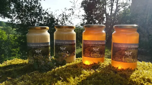 Les Abeilles de Montbazens, OFFICE DE TOURISME DU PLATEAU DE MONTBAZENS