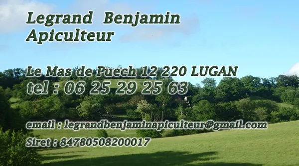 Les Abeilles de Montbazens, OFFICE DE TOURISME DU PLATEAU DE MONTBAZENS