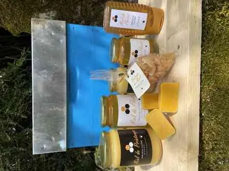 Emmanuel Gilhodes Apiculture, OFFICE DE TOURISME DU PLATEAU DE MONTBAZENS