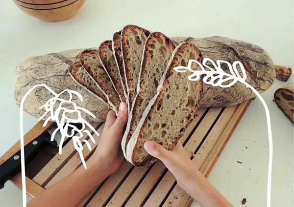 Les épis du Terral, OFFICE DE TOURISME DE PARELOUP LEVEZOU