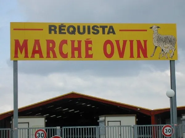 Visite guidée du Marché Ovins, OFFICE DE TOURISME DU REQUISTANAIS
