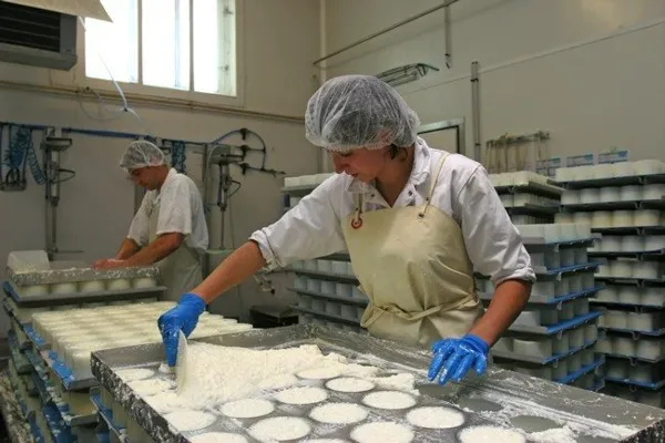 Frabrication des fromages, Fromagerie coopérative des Bergers du Larzac