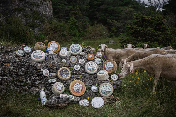 , ©Les Bergers du Larzac