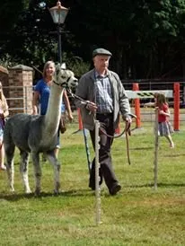 Duprem Alpaga - visite et boutique, OFFICE DE TOURISME REGIONAL DE VILLEFRANCHE DE ROUERGUE