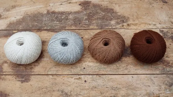 Duprem Alpaga - visite et boutique, OFFICE DE TOURISME REGIONAL DE VILLEFRANCHE DE ROUERGUE