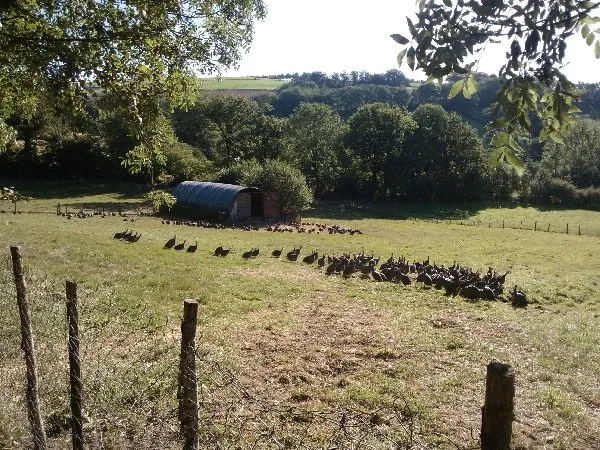 la ferme du Vialaret, OFFICE DE TOURISME DE PARELOUP LEVEZOU