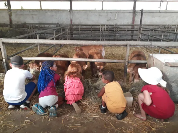 Viens jouer avec Ségalou!, ***