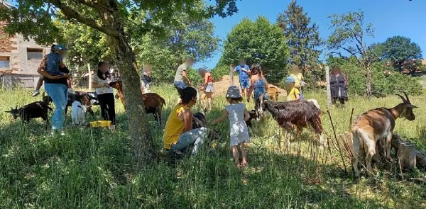Visite en été, Ferme 