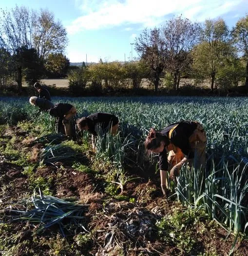 La Ferme d'Agen (GAEC) - Récolte à la ferme, OFFICE DE TOURISME DE PARELOUP LEVEZOU