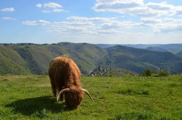 Ferme pédagogique des Bornottes, OFFICE DE TOURISME DU CANTON DE MUR DE BARREZ