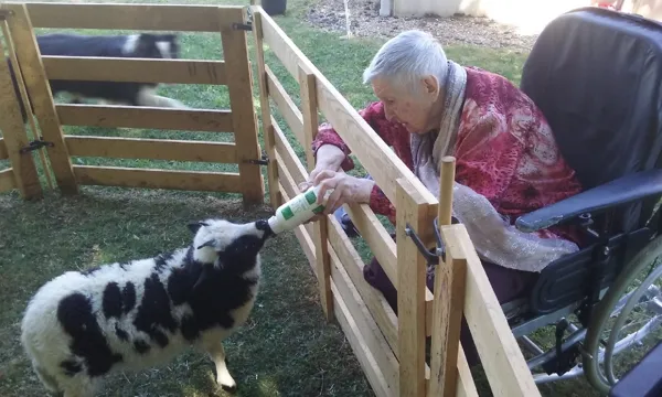 Ferme pédagogique des Bornottes, Ferme pédagogique des Bornottes
