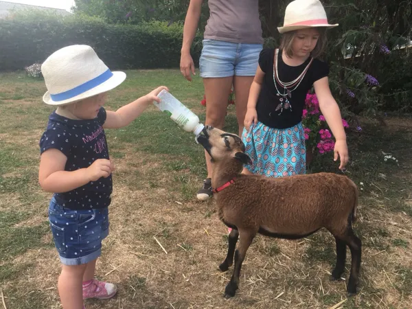 Ferme pédagogique des Bornottes, Ferme pédagogique des Bornottes