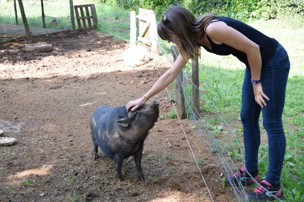 Ferme pédagogique des Bornottes, Ferme pédagogique des Bornottes