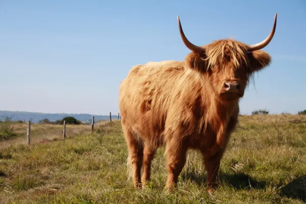 Ferme pédagogique des Bornottes, Ferme pédagogique des Bornottes