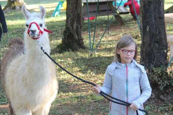 Ferme pédagogique des Bornottes, Ferme pédagogique des Bornottes