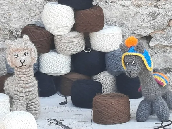 , A. Arnal Alpaga Larzac