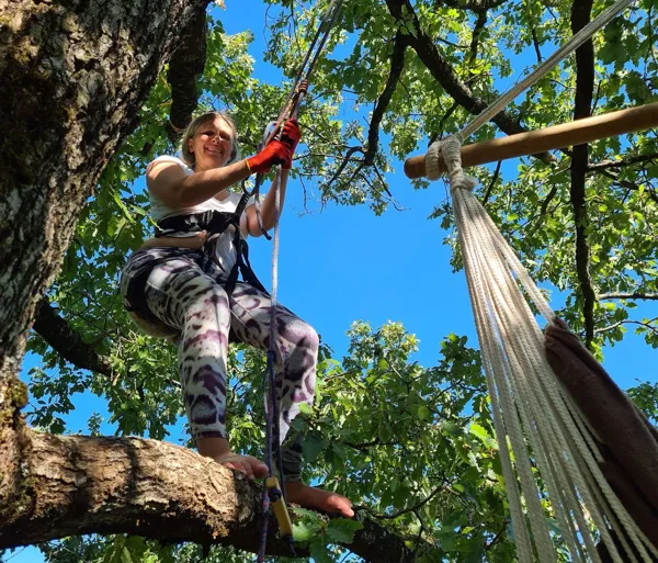 Grimpe d'arbres, A la croisée des arbres