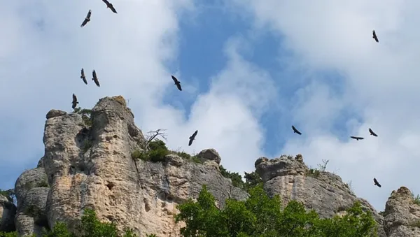 A PROXIMITÉ DU GITE, ENVIRONNEMENT