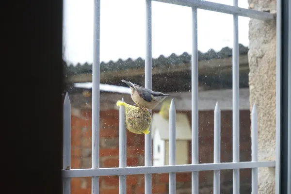 La Fée sur la Colline®, propriétaire