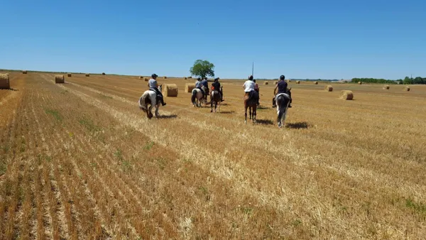 Centre Équestre de Briounas