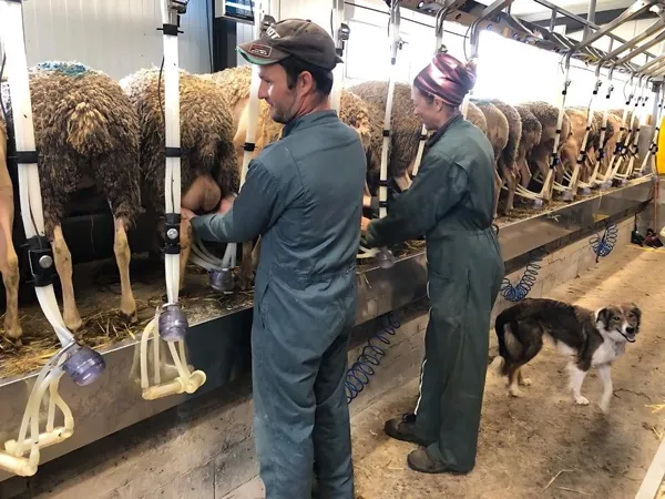 Visite à la ferme Chez Alice et Sylvain, Simon Sabathier