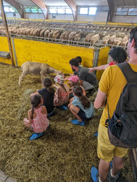 Visite à la ferme Chez Alice et Sylvain, Visite à la ferme Chez Alice et Sylvain
