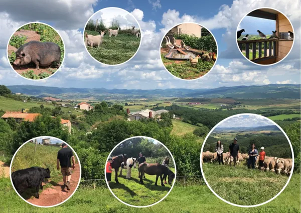 Visite à la ferme Chez Séverine et Daniel, Simon Sabathier