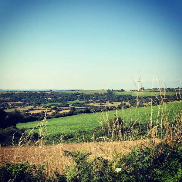 Gîtes de Tapies : Gite La Cardabelle, Les Buis