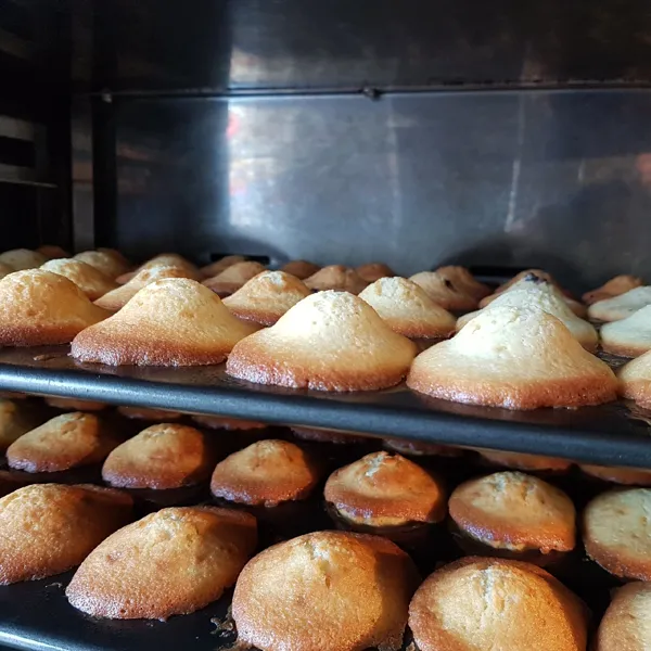 Les Madeleines de Célestine, Les madeleines de Célestine