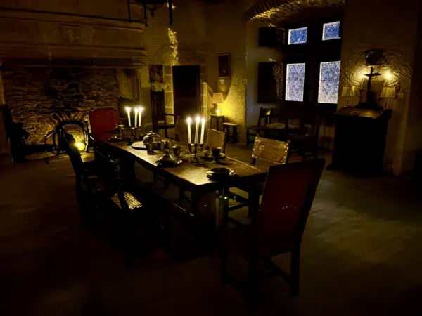 Château de Vieillevie, Vieillevie - photo 3