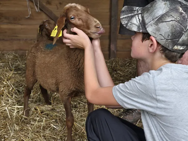 Ferme pédagogique l'Arche du Rougier, Ferme pédagogique l'Arche du Rougier