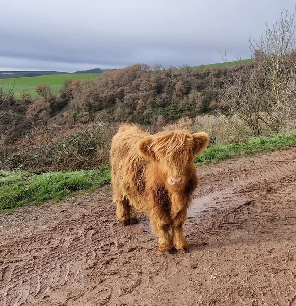 Ferme pédagogique l'Arche du Rougier, Ferme pédagogique l'Arche du Rougier