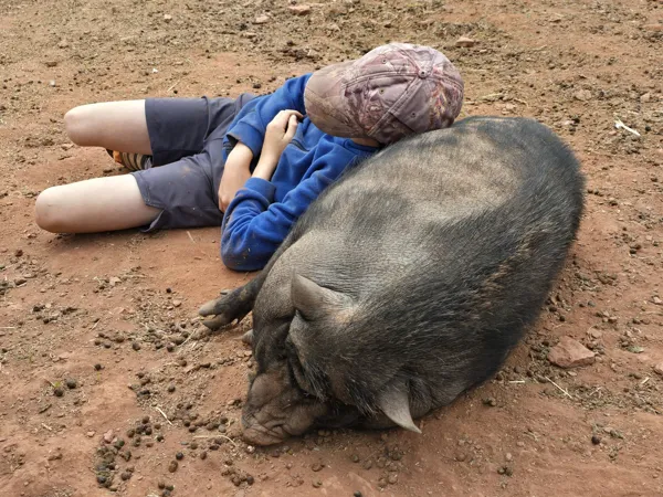 Ferme pédagogique l'Arche du Rougier, Ferme pédagogique l'Arche du Rougier