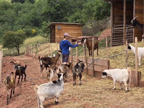 Ferme pédagogique l'Arche du Rougier, Ferme pédagogique l'Arche du Rougier