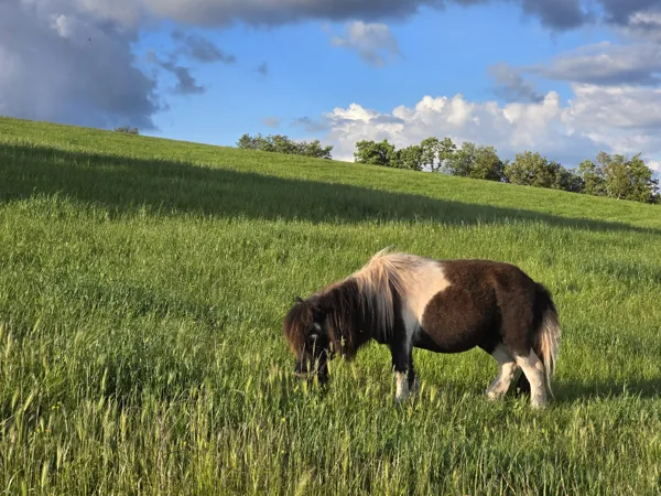 Ferme pédagogique l'Arche du Rougier, Ferme pédagogique l'Arche du Rougier
