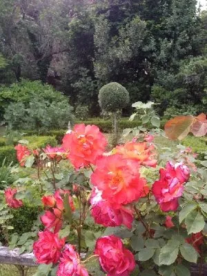 Gîte du Mas de Piatou 2