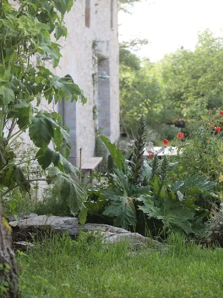 Le jardin, Guillaume Laizé