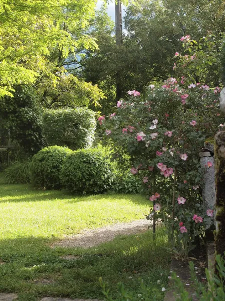 Le jardin, Guillaume Laizé