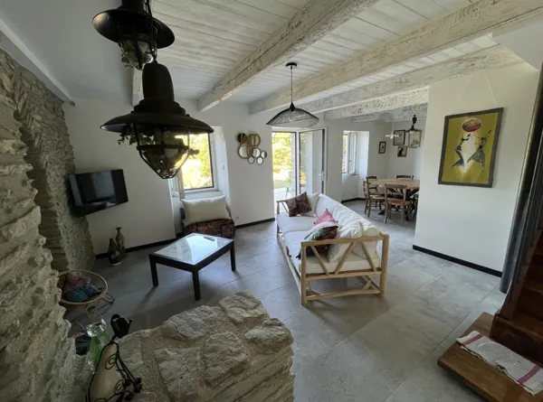 Pièce à vivre - salon