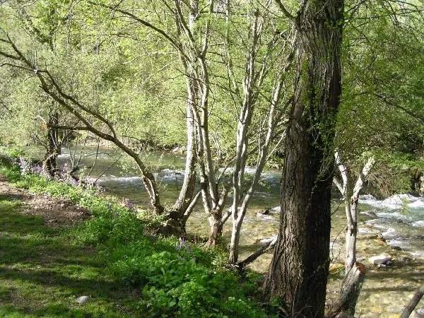 jonte, CAMPING LES PEUPLIERS